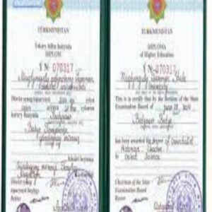 Buy Degree From the State Energy Institute of Turkmenistan