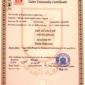 Buy college degree from The American University in Cairo