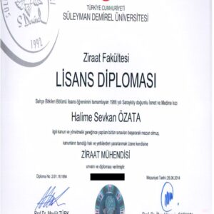 Buy college degree from the Süleyman Demirel Üniversitesi