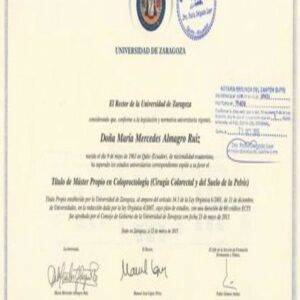 Buy college degree from the Universidad de Zaragoza