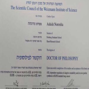 Buy college degree from the Weizmann Institute of Science